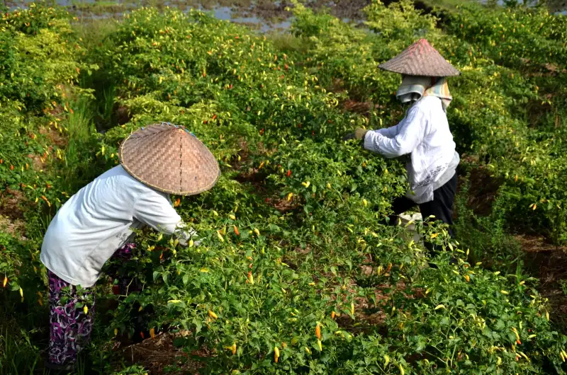 光模块与光纤跳线如何匹配？弱电工程中常见链路问题解析